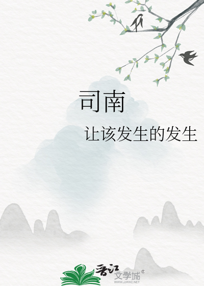 司南小说