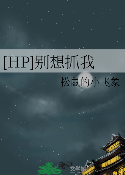 [HP]别想抓我