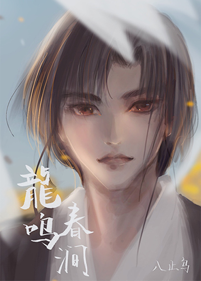 琴修小说