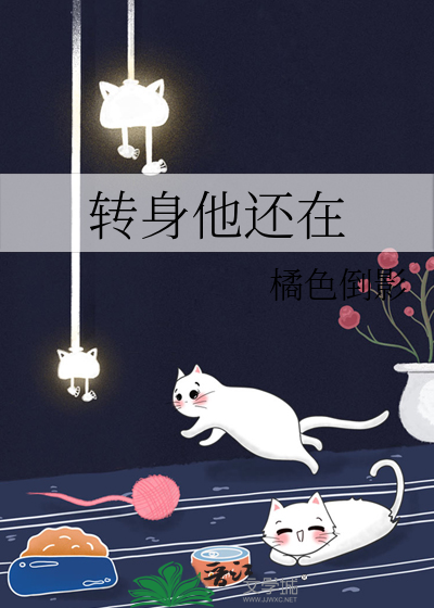 转身之后还是你小说免费阅读